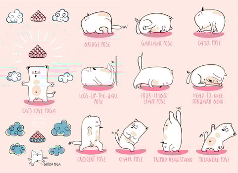 White Yoga Cat set vector