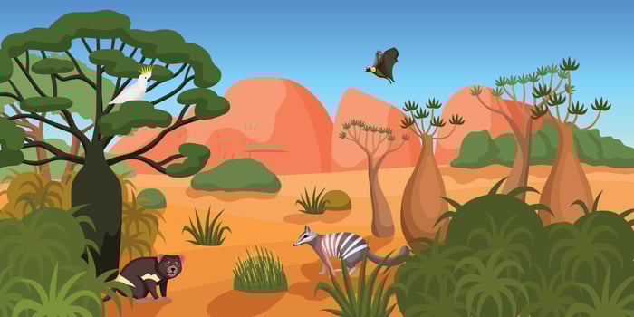 Australian Landscape Illustration vector