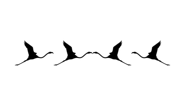 Flock of the Flying Flamingo Silhouette for Icon, Symbol, Logo, Art Illustration, Pictogram, Website,  or Graphic Design Element. Vector Illustration
