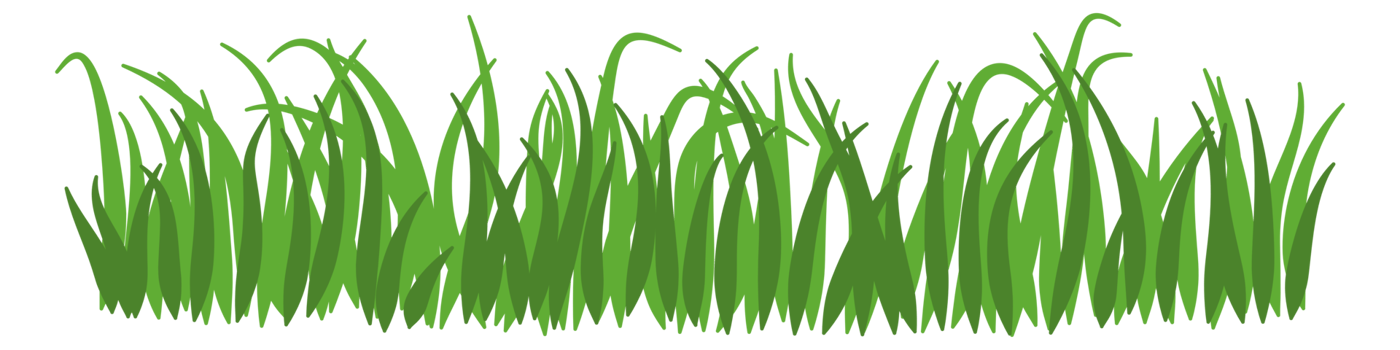 illustration of green grass png