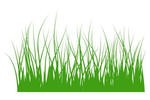 illustration of green grass png