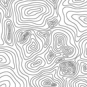 illustration of topographic map png