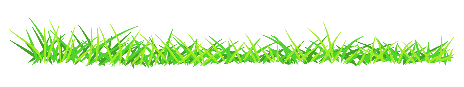 illustration of green grass png