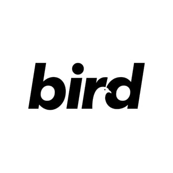 Bird Dove Pigeon Eagle Head Wordmark Logo Design vector