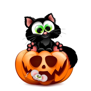 Cute black cartoon cat sitting on the Halloween pumpkin with scary face and little mouse hiding in the pumpkin smile vector