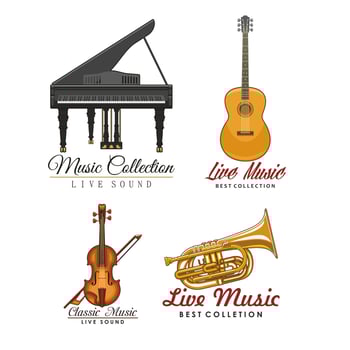Vector icons set for music concert labels