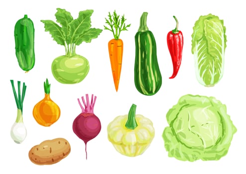 Organic vegetable watercolor illustration set vector