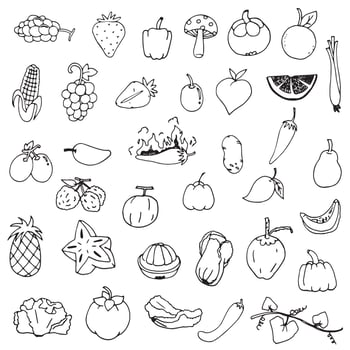 fruit doodle line drawing vector