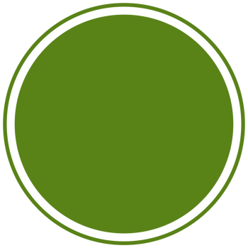 Green round background for text. Create posts, stories, headlines, highlights. Transparent Clipart png