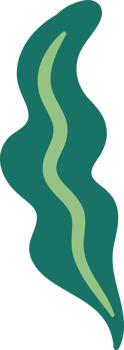 Decorative abstract floral element. png