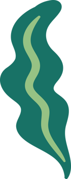 Decorative abstract floral element. png