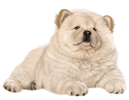 Puppy transparent background png