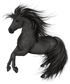 Black Horse transparent background png