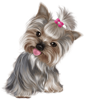 Cute Puppy transparent background png