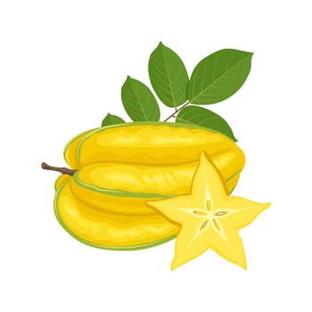 Vector illustration, ripe starfruit or carambola, whole and sliced, with green leaves, isolated on white background.