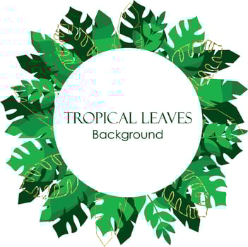 Tropical Decorated with gold lines and white background. Background with palm leaves, banana leaves, and monstera. Shameless pattern tropical leaves frame decoration. Summer iconic tropical island vector