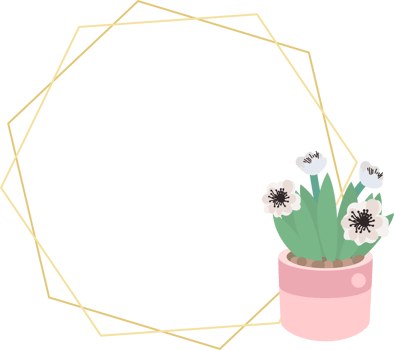 cute luxury flat style cactus and succulent with geometric golden frame png