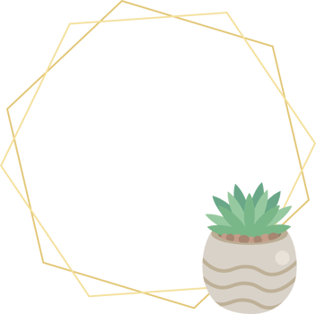 cute luxury flat style cactus and succulent with geometric golden frame png