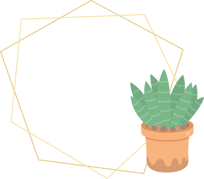 cute luxury flat style cactus and succulent with geometric golden frame png