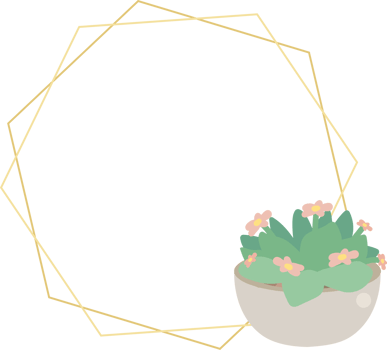 cute luxury flat style cactus and succulent with geometric golden frame png