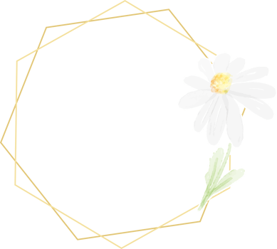 watercolor white daisy golden frame png