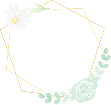 watercolor white daisy golden frame png