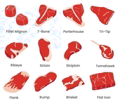 Set of Beef meat and steak cut illustration. Contain vector such as fillet mignon, t bone, tomahawk, sirloin, ribeye, flat iron cuts and other