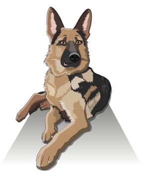 dog German shepherd breed sitting and smile vector