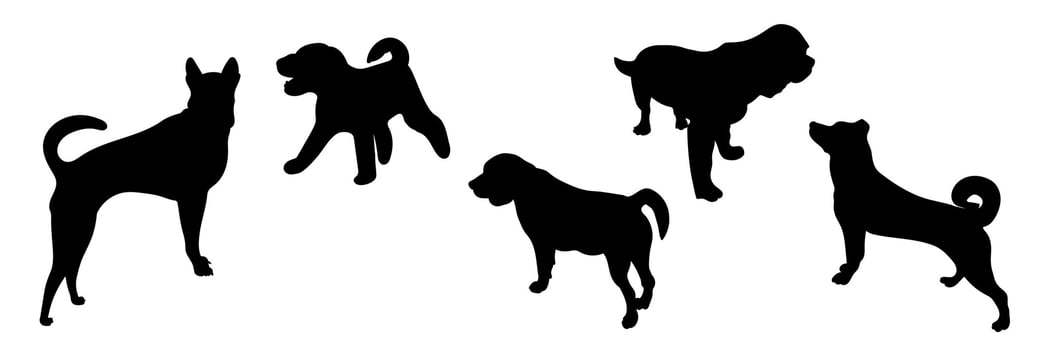 Silhouettes of dogs in different poses, set silhouettes of animals vector
