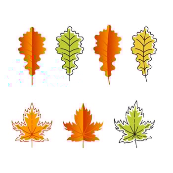 Autumn Element Vector icon design illustration
