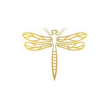 Dragonfly illustration icon vector