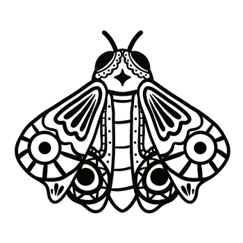 fly illustration hand drawn for design element. png