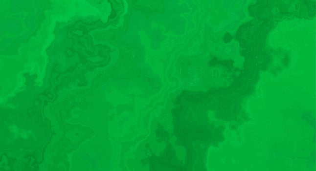 Creative fluid colors background. Trendy design. vector