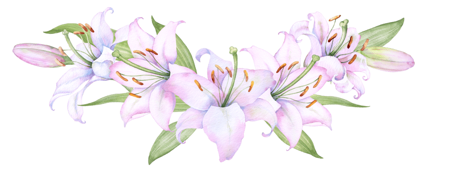 Bouquet white lilies, pink lilies, flowers and buds watercolor flower arrangement png