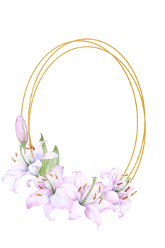 Round gold frame wreath with white and pink lily flowers, watercolor illustration. Isolated on white. Ideal for decorating wedding invitations, albums, and posters png