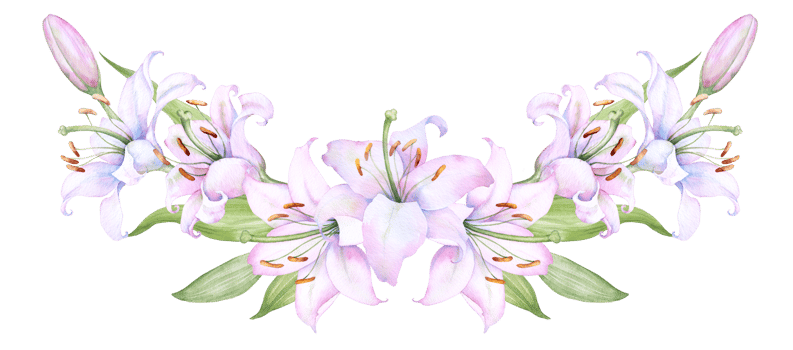 Bouquet white lilies, pink lilies, flowers and buds watercolor flower arrangement png