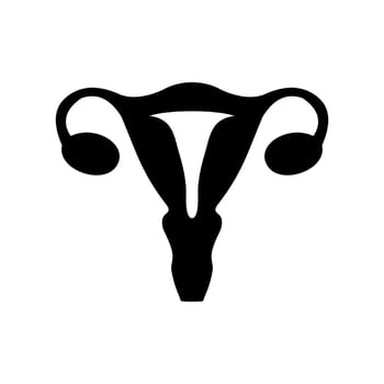 uterus flat icon vector