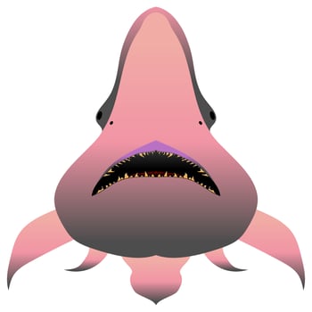Goblin shark. Wildlife animal. Underwater fish vector. vector