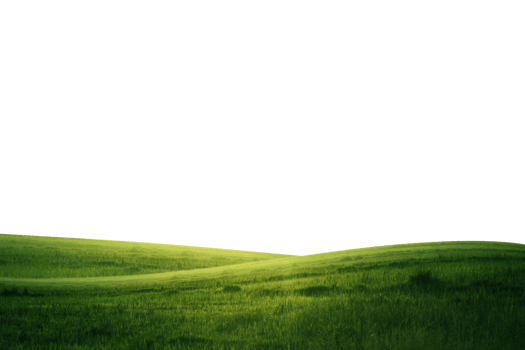 lawn and mountain PNG transparent