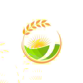 Agriculture wheat rice vector icon design