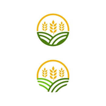 Agriculture wheat rice vector icon design