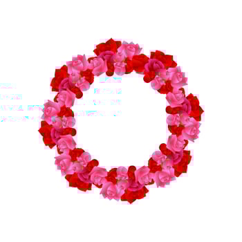 Rose flower ornament. Rose flower decoration. Rose flower wedding ornament template. Rose flower vector illustration