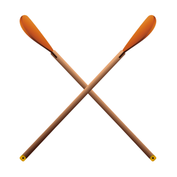 Crossed oars in realistic style. Canoe paddles. Colorful PNG illustration.