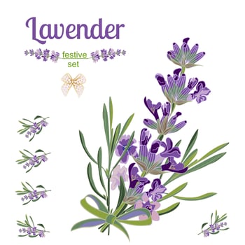 Set festive border and elements with Lavender flowers for greeting card. Botanical illustration. vector