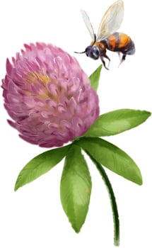 A bee circling over a clover. A hand-drawn watercolor vector drawing.