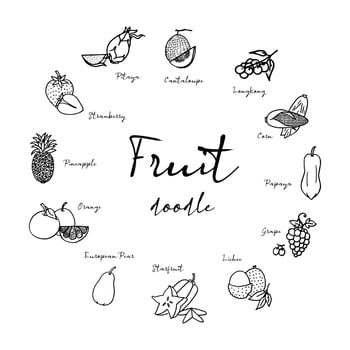 Fruit sketch in black doodle drawing free hand vector on white background
