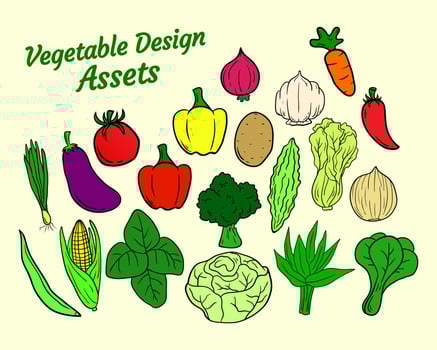 Vegetables Design Asset Vector Illustrations