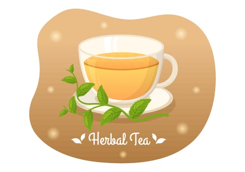 Herbal Tea with Chamomile Leaves of Health Drink Green to Increase Endurance in Template Hand Drawn Cartoon Flat Background Illustration vector