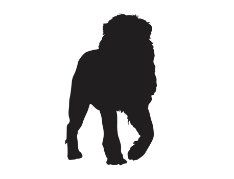 silhouette of a male lion png