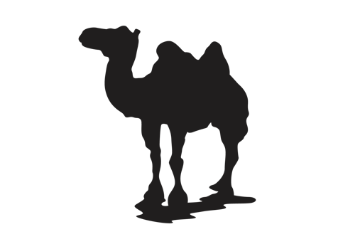 Standing Camel silhouette png